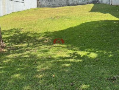 imagem-miniatura